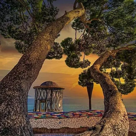 Dama Vietri